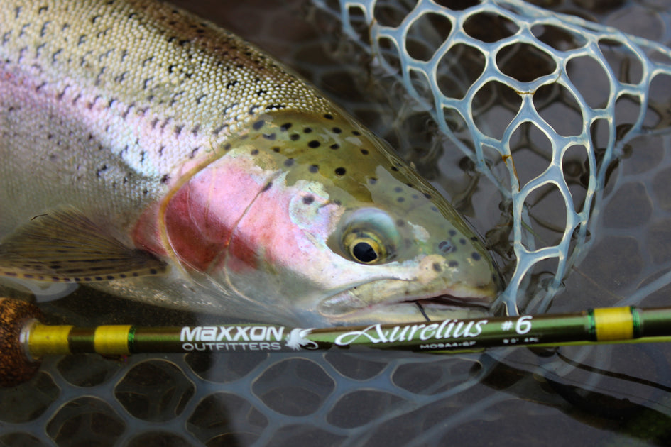Maxxon Outfitters NX3 Nymphing Fly Rod - The Trout Spot