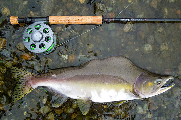 FALCON Fly Rod – Maxxon Outfitters